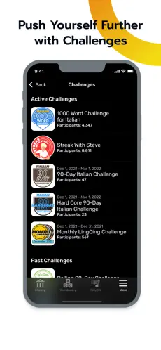 LingQ screenshot 4